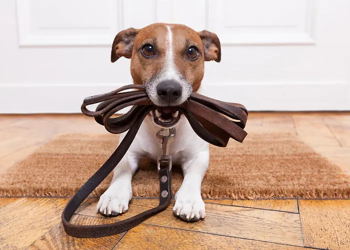 Haus Diamant By Schladming-appartements Апартаменты Шладминг